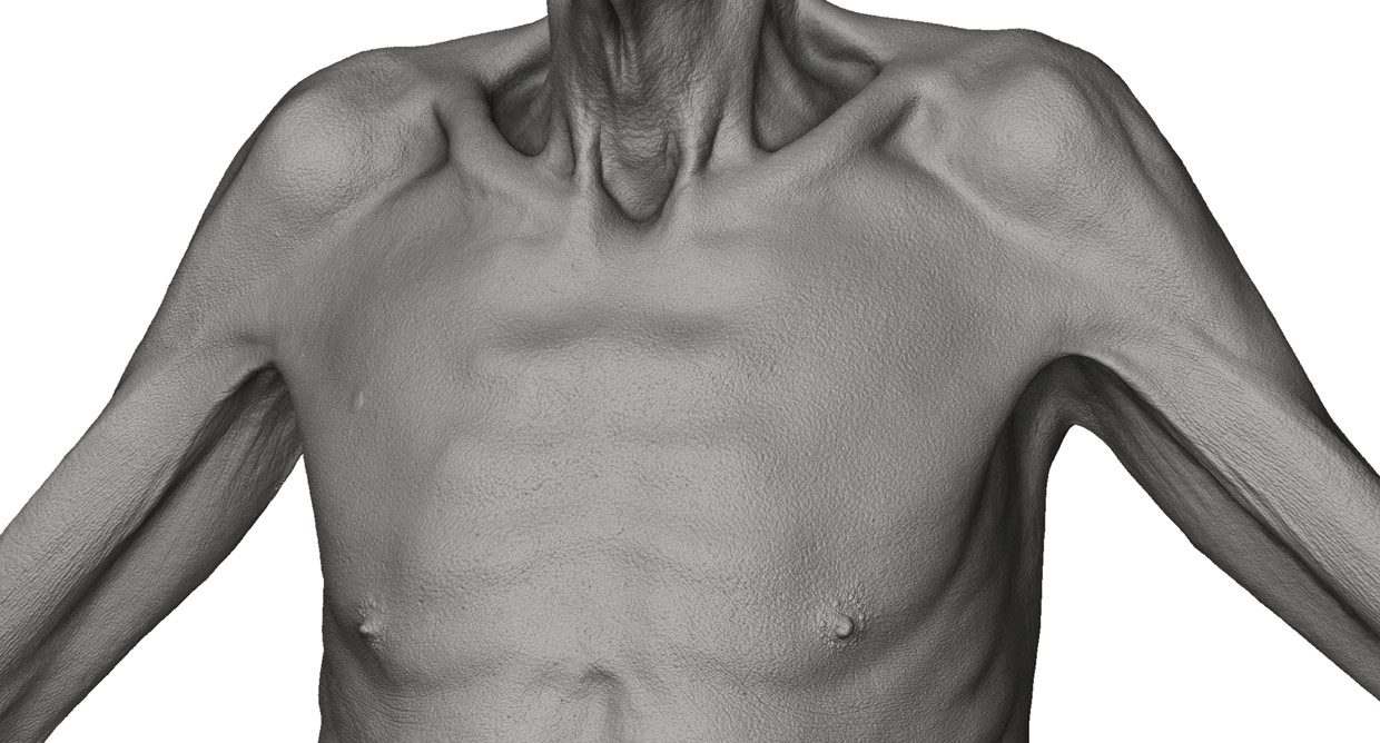 Download older male 3d body model for zbrush 
